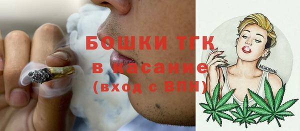 ГАЛЛЮЦИНОГЕННЫЕ ГРИБЫ Алзамай