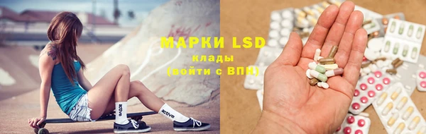 ГАЛЛЮЦИНОГЕННЫЕ ГРИБЫ Алзамай