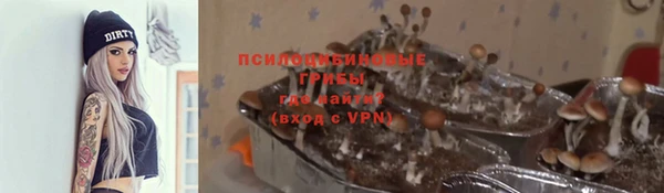 дмт Алексеевка