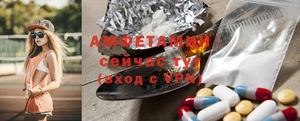 ГАЛЛЮЦИНОГЕННЫЕ ГРИБЫ Алзамай